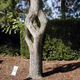 Image for article titled The World's Strangest and Most Magnificent Gardens